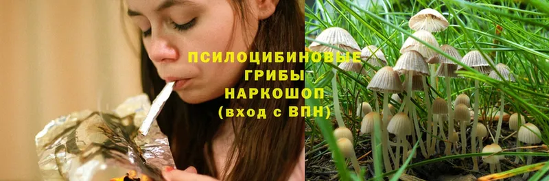 Псилоцибиновые грибы Psilocybine cubensis  mega зеркало  Краснокамск 